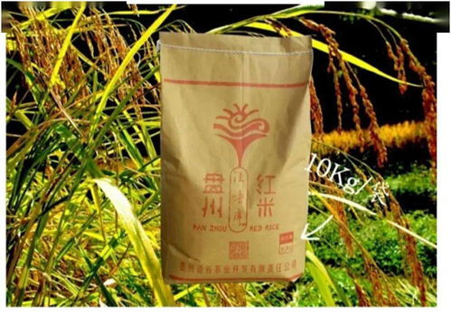 盤州農(nóng)副產(chǎn)品，碼上買，便捷直達餐桌